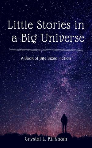 Cover of the book Little Stories in a Big Universe by Natalia Napoli