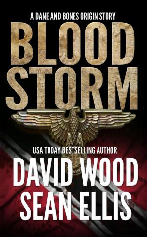 Cover of the book Bloodstorm by Alan Baxter