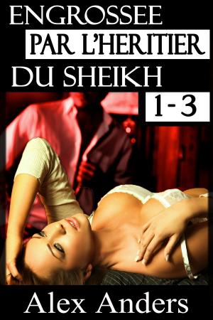 Cover of the book Engrossée par l’héritier du Sheikh 1-3 by A. Anders, Alex Anders
