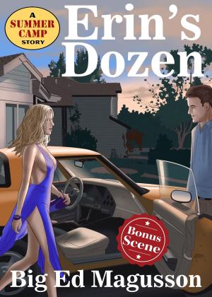 Cover of the book Erin's Dozen by Anna Fock