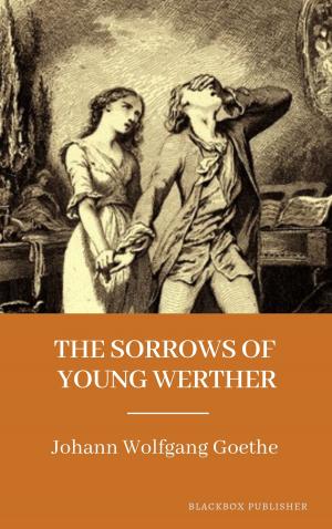 Book cover of The Sorrows of Young Werther