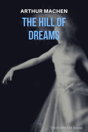 Book cover of Th Hill of Dreams