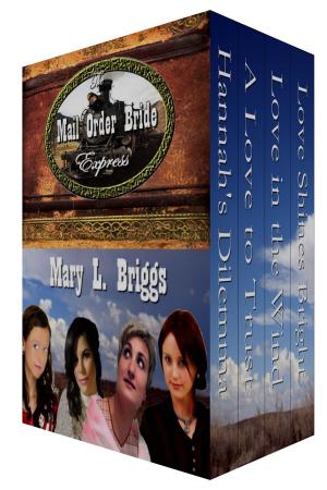 Cover of the book The Mail Order Bride Express by Mary L. Briggs