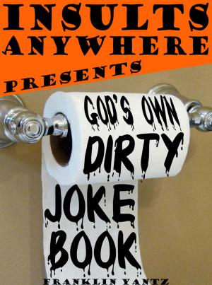 Cover of Insults Anywhere Presents: God's Own Dirty Joke Book