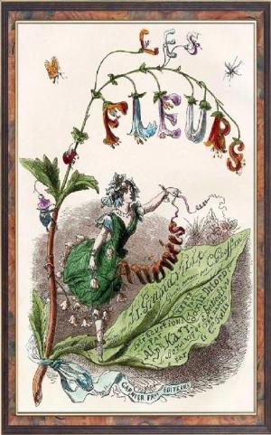 Book cover of Les fleurs animées