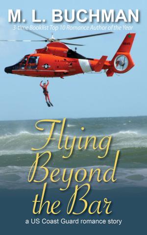 Cover of the book Flying Beyond the Bar by Matthew Lieber Buchman
