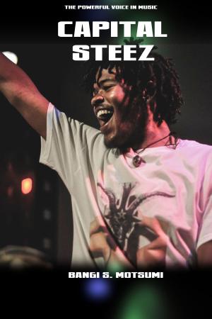 bigCover of the book Capital STEEZ by 