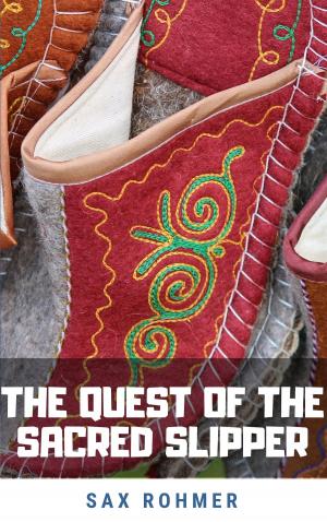 bigCover of the book The Quest of the Sacred Slipper by 