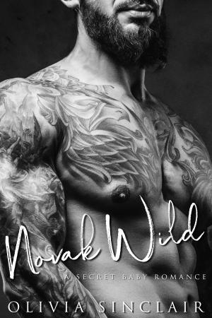bigCover of the book Novak Wild by 