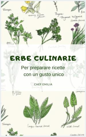 Cover of the book Erbe Culinarie by Marco Zelle