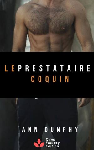 Cover of the book Le prestataire coquin by Tina Crow