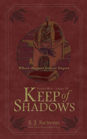 Cover of the book Keep of Shadows by S.J. Saunders