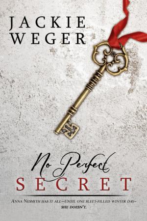 Cover of the book No Perfect Secret by Lisa Powell