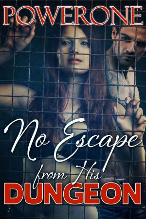 Book cover of NO ESCAPE FROM HIS DUNGEON