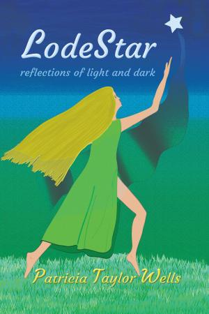 Book cover of LodeStar