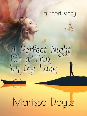 Book cover of A Perfect Night for a Trip on the Lake