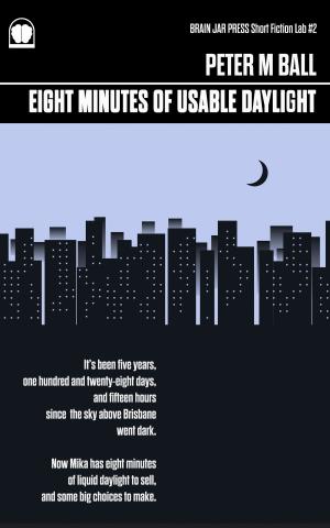 Cover of the book Eight Minutes of Usable Daylight by T. D. Fletcher
