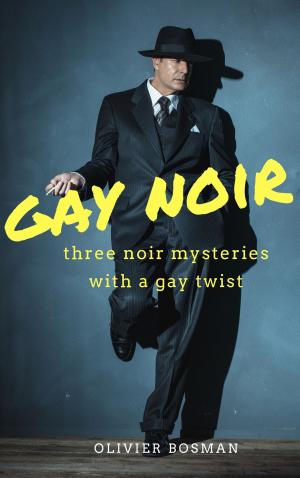 Book cover of Gay Noir