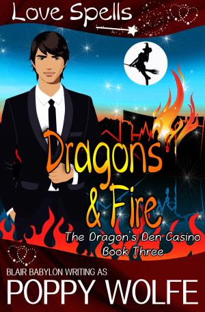 Cover of the book Dragons and Fire by S.K. Falls