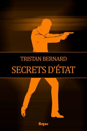 bigCover of the book Secrets d’État by 