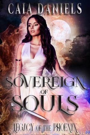Cover of the book Sovereign of Souls by Pj Belanger