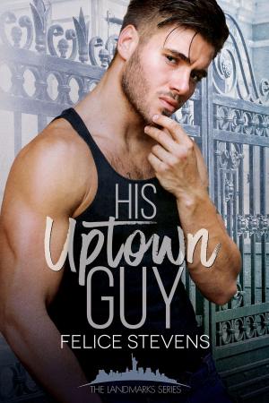 Cover of the book His Uptown Guy by Felice Stevens