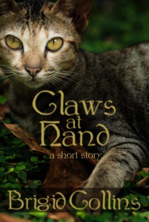 Cover of the book Claws at Hand by Ronel Janse van Vuuren
