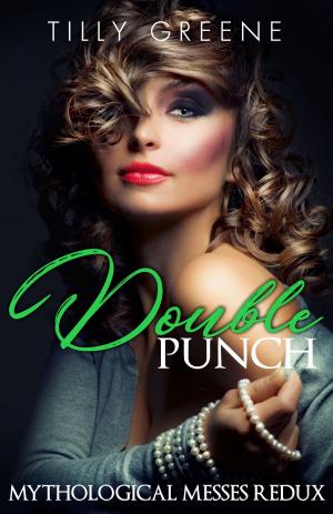 Cover of the book Double Punch by Evangeline Fox