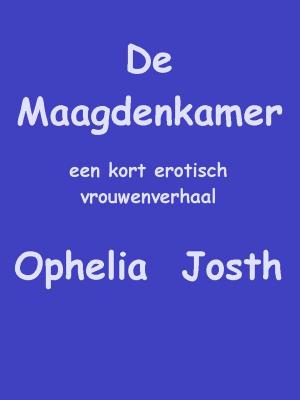 Cover of the book De Maagdenkamer by Simone Beatrix