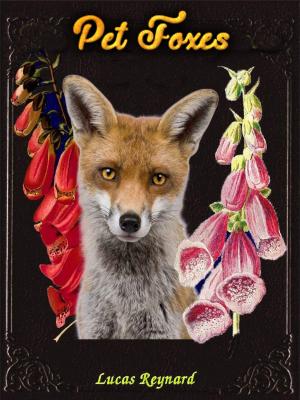 Book cover of Pet Foxes