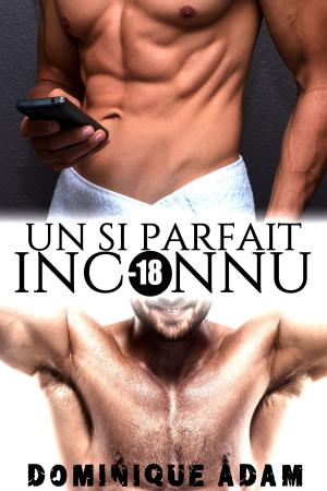 Cover of the book Un Si Parfait Inconnu by Melody Sanders