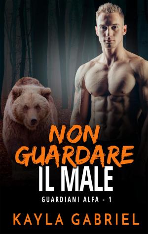 Cover of the book Non guardare il male by Nicky Drayden