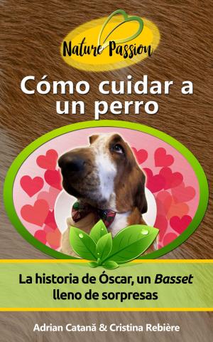 Cover of Cómo cuidar a un perro