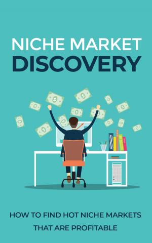Cover of the book Niche Market Discovery by Ramon Tarruella