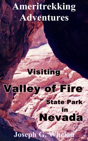 bigCover of the book Ameritrekking Adventures: Visiting Valley of Fire State Park in Nevada by 