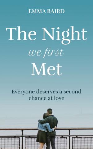 Book cover of The Night We First Met
