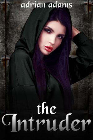 Cover of the book The Intruder by Winter Lynx