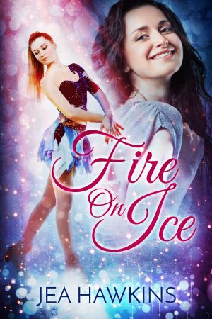 Cover of the book Fire on Ice by Barbara Dennis
