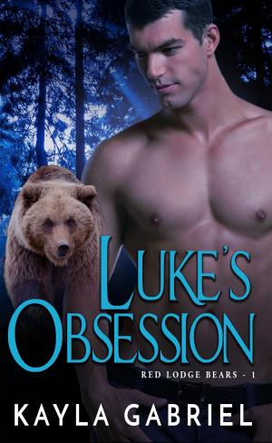 Cover of the book Luke's Obsession by Mireille Chester