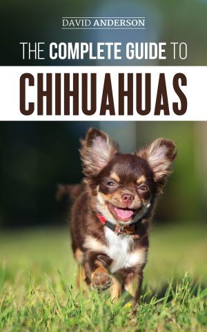 Book cover of The Complete Guide to Chihuahuas
