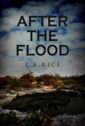 Book cover of After The Flood