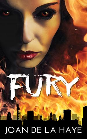 Cover of the book Fury by Gareth K Pengelly
