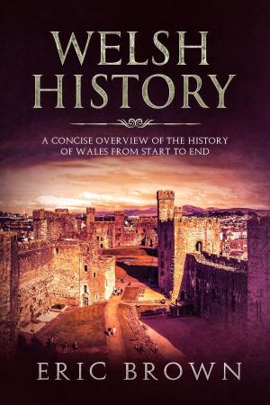 Cover of the book Welsh History by Nancy-Lou Patterson