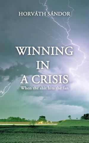 Book cover of Winning in a Crisis