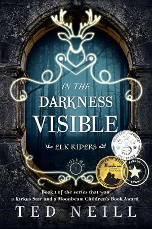 Cover of the book In the Darkness Visible by Michael T Ashgillian