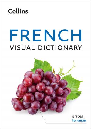 Cover of Collins French Visual Dictionary