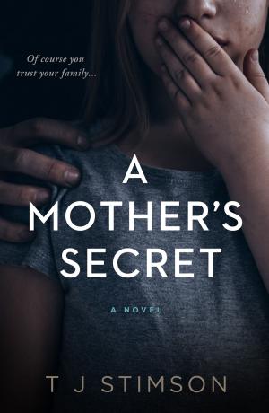 Cover of the book A Mother’s Secret by Dan Ahearn