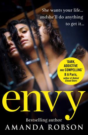 Cover of the book Envy by Sarah Lefebve