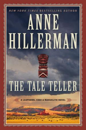 Cover of the book The Tale Teller by Sarah Williams Goldhagen