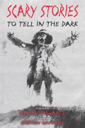Cover of the book Scary Stories to Tell in the Dark by James Frey